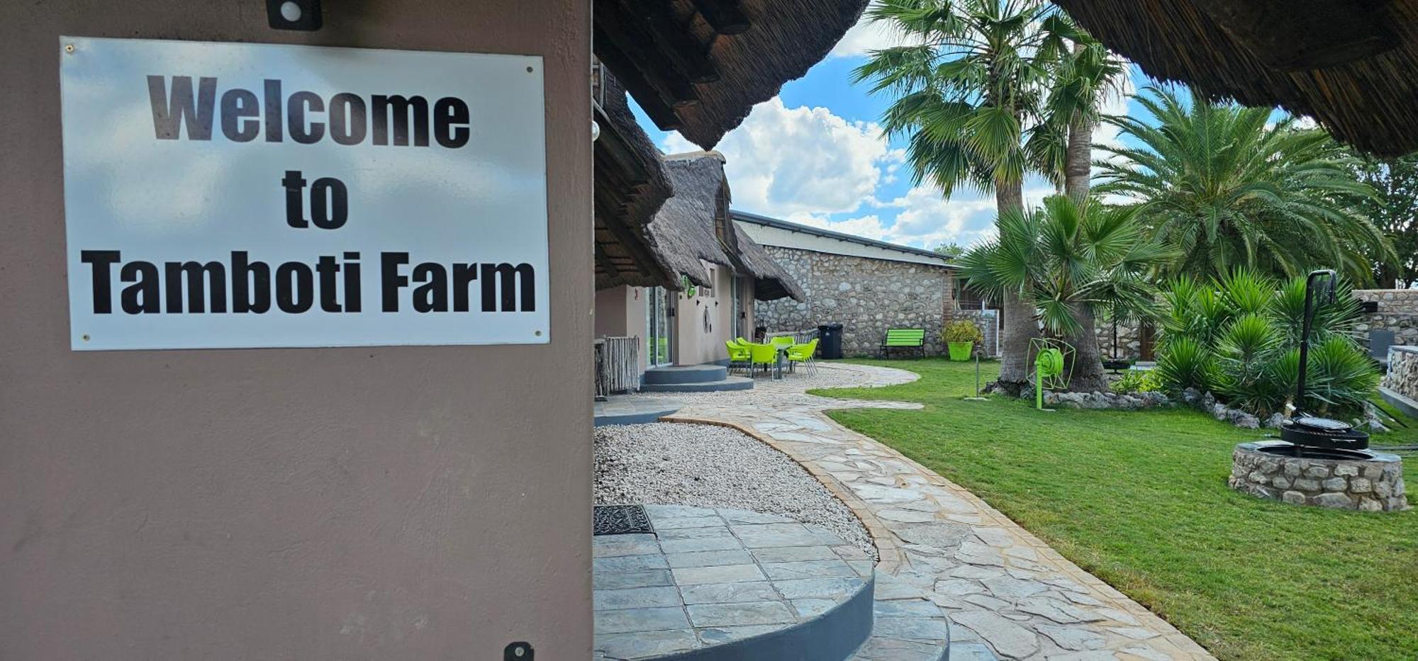 Tamboti Farm Accommodation Tsumeb Exteriör bild
